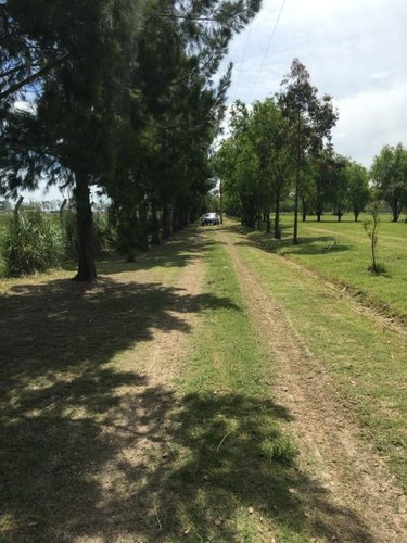 Imagen 9 de 14 de Terreno En Venta En Posadas De Los Lagos