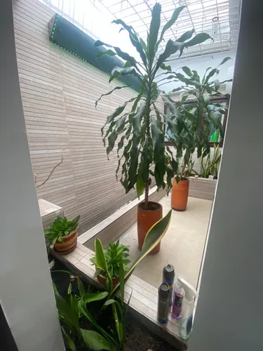 Vendo Casa Externa En Mayapan