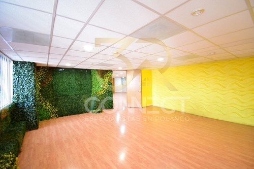 Oficina En Renta En Anzures - 24c/3b/1e - Excelente Ubicación - 870m2