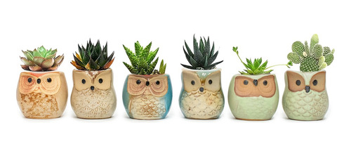 Imagen 4 de 10 de Macetas Mini Lapiceros X6 Unidades Ceramica Diseño Buhos