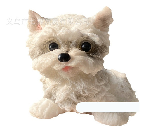 Nuevo Juguete De Descompresión For Apretar De Cachorro West