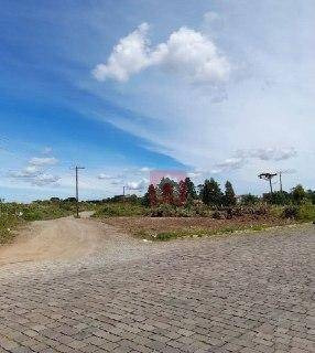 Imagem 3 de 16 de Terreno À Venda, 372 M² Por R$ 98.094,53 - Desvio Rizzo - Caxias Do Sul/rs - Te0218