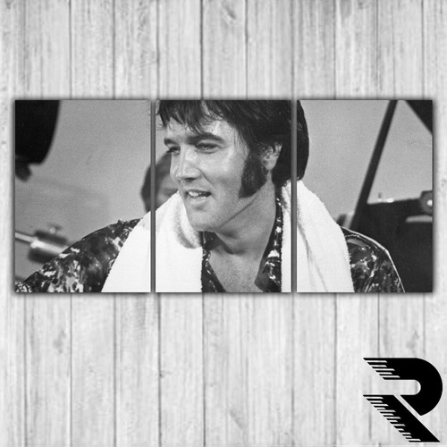 Cuadro De Elvis Presley | 1 | Triptico