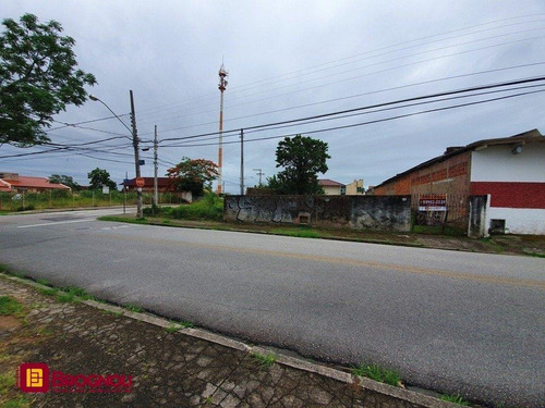 Imagem 4 de 6 de Terreno Comercial/residencial - Coloninha - Ref: 38584 - V-t6-38584