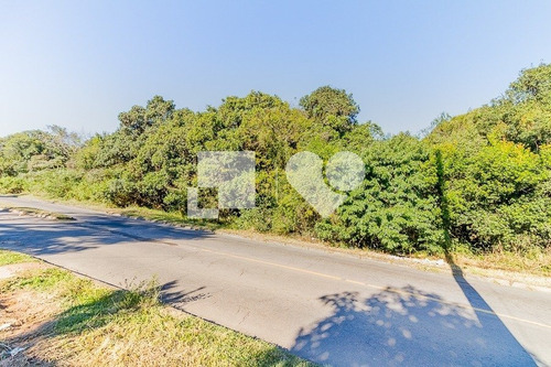 Imagem 11 de 12 de Terreno Em Condominio - Vila Nova - Ref: 43561 - V-58465733