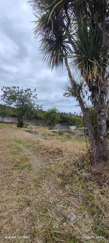 Terreno Urbano En Pelluco De Puerto Montt - Vista A La Bahía