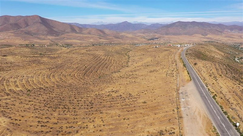 Venta Terreno De 11 Ha En Higueritas Unidas, Ovalle