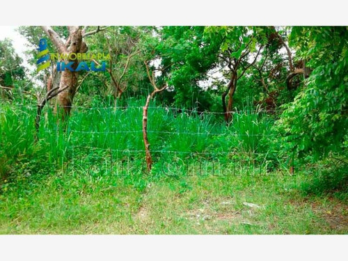 Imagen 7 de 8 de Terreno En Venta Juana Moza