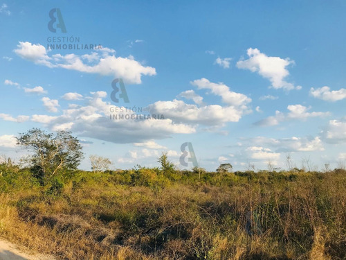 Imagen 9 de 9 de Terreno En Esquina En Venta En Komchen, Yucatán. Ctv126.