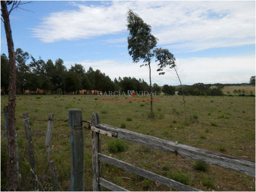 Imagen 6 de 8 de Venta De Chacra En Zona Rural De La Barra