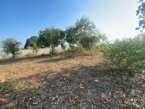 Venta Terreno 3000 M² Juana Moza Frente Al Rio Tuxpan Veracruz