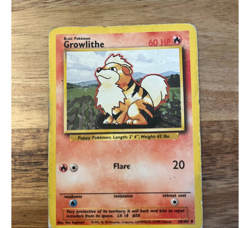 Growlithe 1995 Pokemon Card