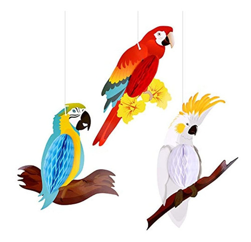 6 Piezas De Pájaros Tropicales Decoración Colgante