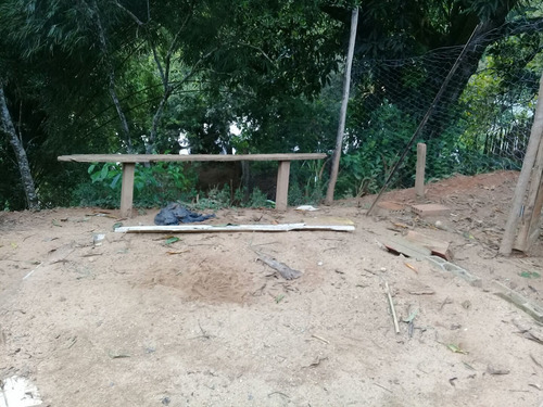 Imagem 5 de 14 de Chacara Em Vista Alegre Distrito De Cataguases Mg