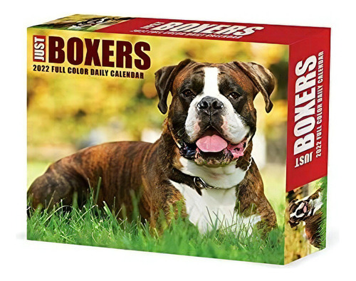Boxers 2022 Box Calendar - Dog Breed Daily Desktop, De Willow Creek Pr. Editorial Willow Creek Press Calendars En Inglés, 2021