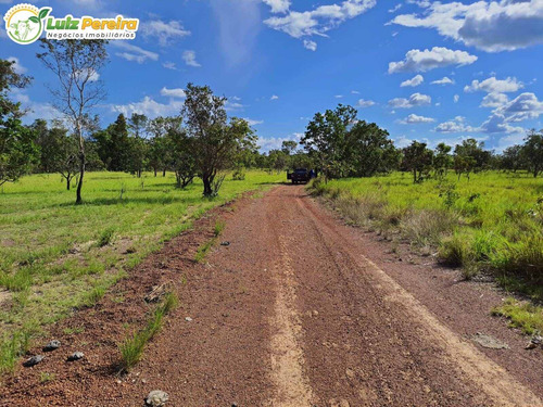 Imagem 10 de 10 de Fazenda À Venda Em Colinas - To - 498,53 Hectares (dupla Aptidão) - 2137