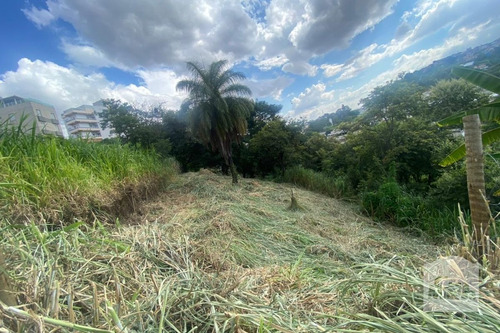 Imagem 10 de 13 de Lote À Venda No Alto Caiçaras - Código 276550 - 276550