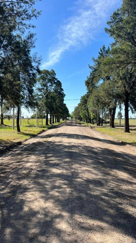 Lote De 600m2 En Country Los Molinos