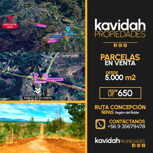Parcelas En Ruta Concepción-ñipas, Comuna De Ránquil