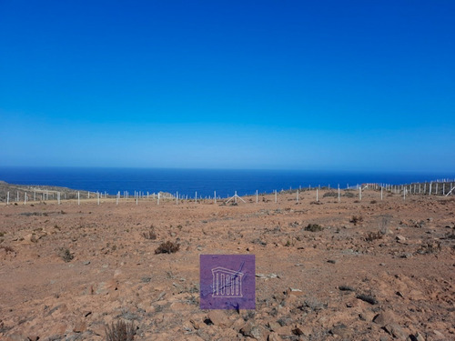 Imagen 4 de 14 de !oportunidad Única!- Venta Parcela-sector Arrayan, La Serena