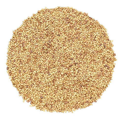 Las Semillas De Brócoli Orgánico A La Germinación De Comida