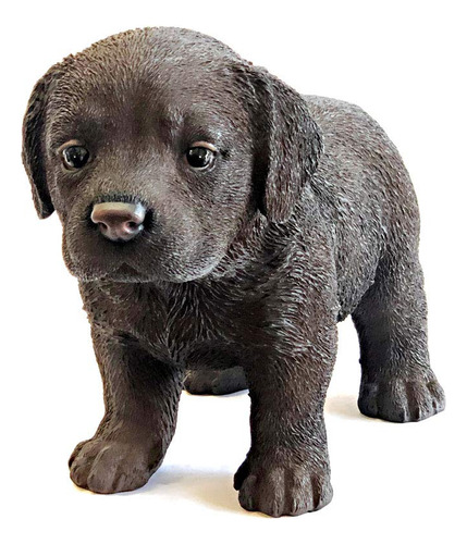 Hi-line Regalo Ltd Pie Chocolate Labrador Cachorro Estatua