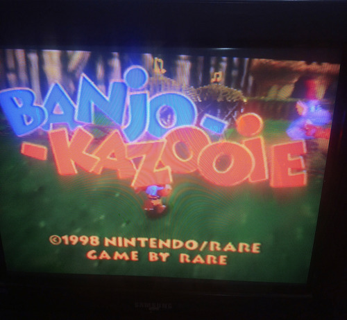 Banjo Kazooie N64 Nintendo Juego Fisico De Aventura Rpg (Usado)