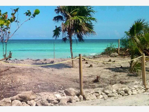 Imagen 1 de 5 de Terreno En Venta Mahahual