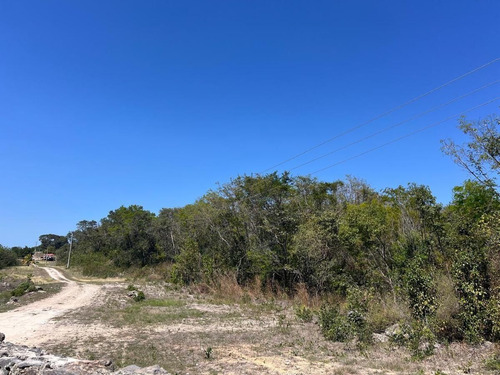 Campeche Champoton, San Fernando Terreno Venta