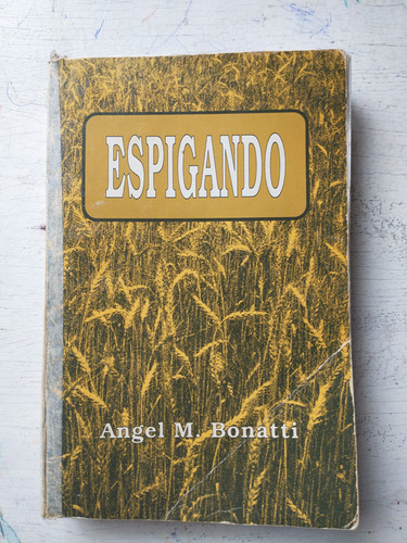 Espigando Angel M. Bonatti