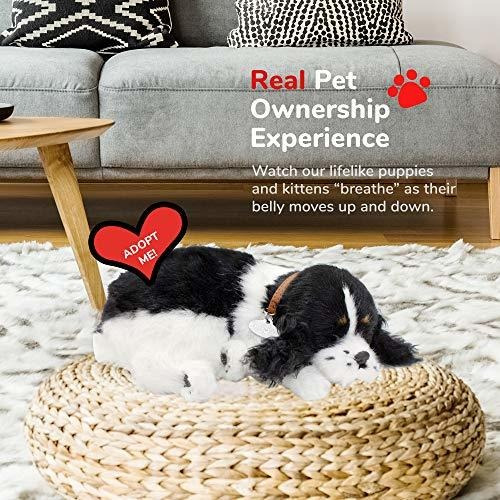 Cocker Spaniel Petzzz Original De Perfect Petzzz, Realista,