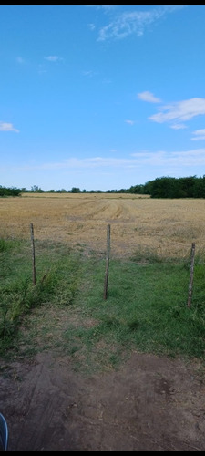 Campo 27 Hectareas Rosario Del Tala Soja Trigo Sorgo