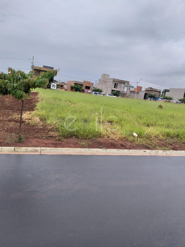 Imagem 2 de 6 de Terreno À Venda Em Vila Monte Alegre - Te008761