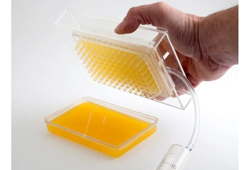 Generador Caviar Molecular Cocina Caja