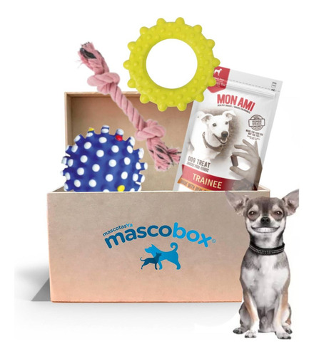 Mascobox Cachorro Nueva Edición Perros Juguete Dental Chifle