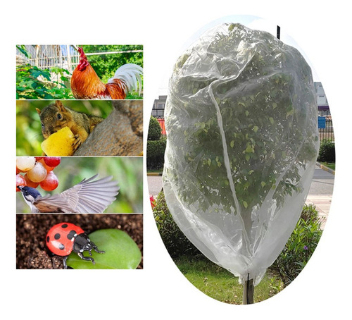 . Bolsas De Malla Para Árboles Frutales, Redes Para Pájaros