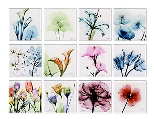 Juego De Posavasos Florales Con Base De Corcho Compatible C