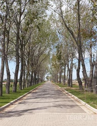Imagen 3 de 3 de Lote En Venta : Canning : : La Alameda