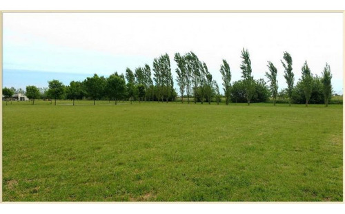 Haras De Funes