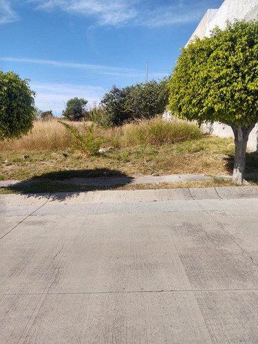 Imagen 4 de 7 de Cañada Del Refugio Vendo, Hermoso Lote Plano
