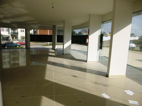 Locales A Estrenar En Alquiler En Buceo