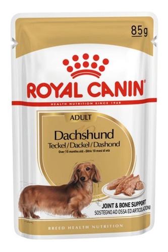 Imagen 1 de 1 de Alimento Royal Canin Breed Health Nutrition Dachshund para perro adulto de raza mini y pequeña sabor mix en sobre de 85g