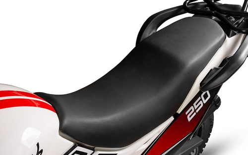 Imagen 3 de 10 de Moto Torino Tiger 250 22