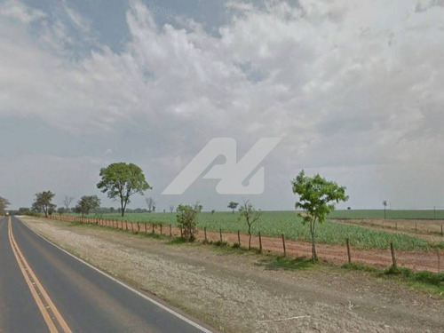 Imagem 3 de 4 de Área À Venda Em Centro - Ar123923