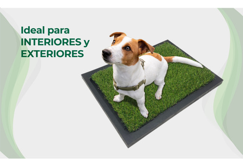 Mikel´s Ts-1p Tapete Entrenador Para Perro 50 X 42 Cm