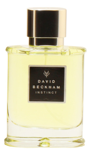 David Beckham Instinct Eau De Toilette Spray 2.5 Fl Oz