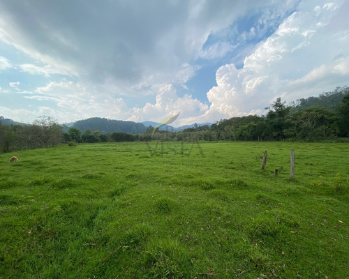 Chácara Próxima Ao Centro A Venda Em Piracaia - Sp - Ch00052 - 68973912