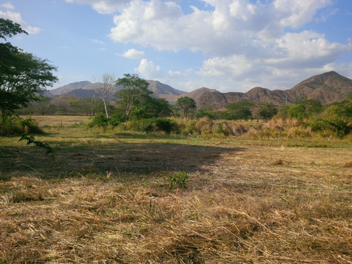Imagen 5 de 14 de Excelente Finca Ubicada En San Sebastian. Estado Aragua