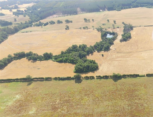 Imagen 12 de 15 de Agrícola En Venta En Ercilla