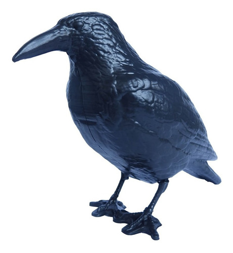 Imagen 1 de 8 de Cuervo Plastico Ahuyenta Espanta Palomas Raven Negro